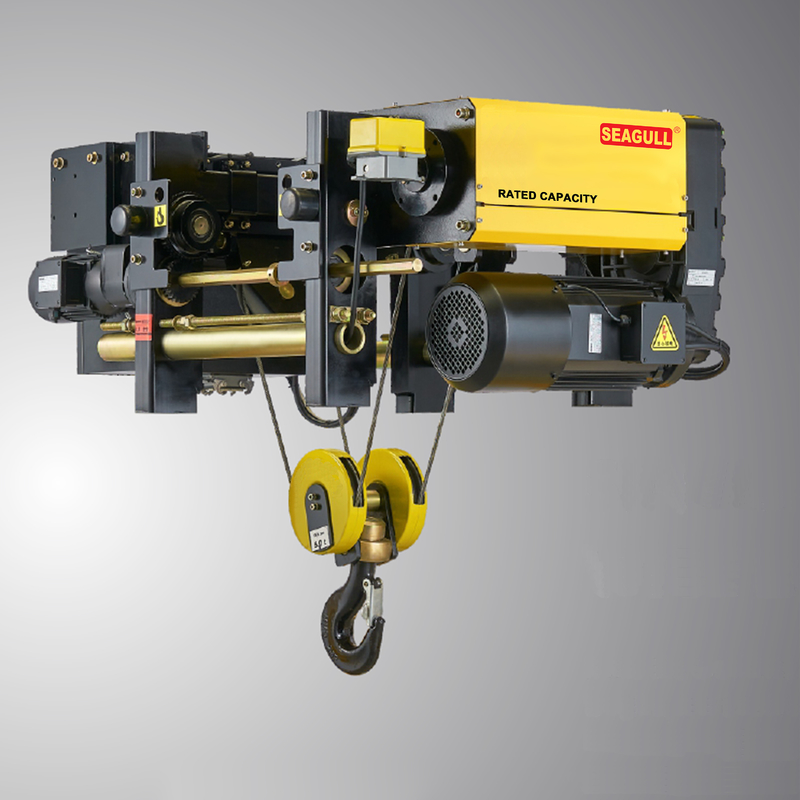 220V-480V Jednorazowa/Dwukrotna prędkość Zmienna częstotliwość Łańcucha podnosząca 0,2-37KW Moc silnika